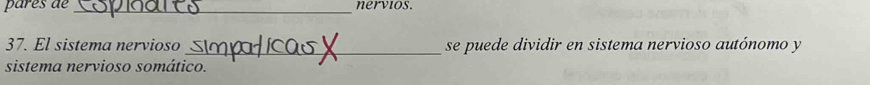 pares de nervios. 
_ 
37. El sistema nervioso_ se puede dividir en sistema nervioso autónomo y 
sistema nervioso somático.