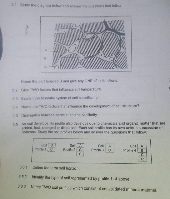 3.1 Study the diagram below and answer the questions that follow: 
Name the part labelled B and give any ONE of its functions. 
3.2 Give TWO factors that influence soil temperature. 
3.3 Explain the binomial system of soil classification. 
3.4 Name the TWO factors that influence the development of soil structure? 
3.5 Distinguish between percolation and capillarity. 
3.6 As soil develops, its profile also develops due to chemicals and organic matter that are 
added, lost, changed or displaced. Each soil profile has its own unique succession of 
horizons. Study the soil profiles below and answer the questions that follow; 
Soil B Soil A Soil A Soil A 
Profile 1 C Profile 2 G Profile 3 C Profile 4 B 
C 
C 
R 
3.6.1 Define the term soil horizon. 
3.6.2 Identify the type of soil represented by profile 1- 4 above. 
3.6.3 Name TWO soil profiles which consist of consolidated mineral material.