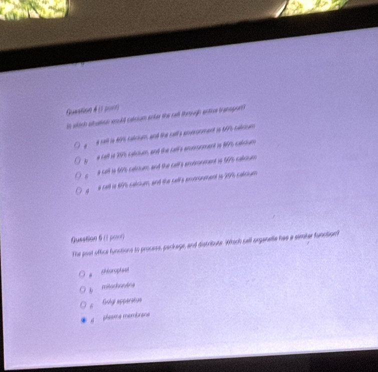 pont
in wtsch abution aool setsium anter the cell through entioe transporn
a sall is Ars calcim, and the call a anronment io 197, calccam 
a cell is 2075 celcum, and the calf's enoronment is 1967, catcium
6 a cell is 677s cetoum, and the cell a emmonment io 577s calrium
4 a cell is 8776 satoum, and the call s armonment is 2076 satnium
Question 6 (1 poior)
The prst office funstions to prosess, package, and distribute. Which sell organelle has a simiter function
# chloropiest
mitochondra
6 Grlyi apperatue
A plasme membrane
