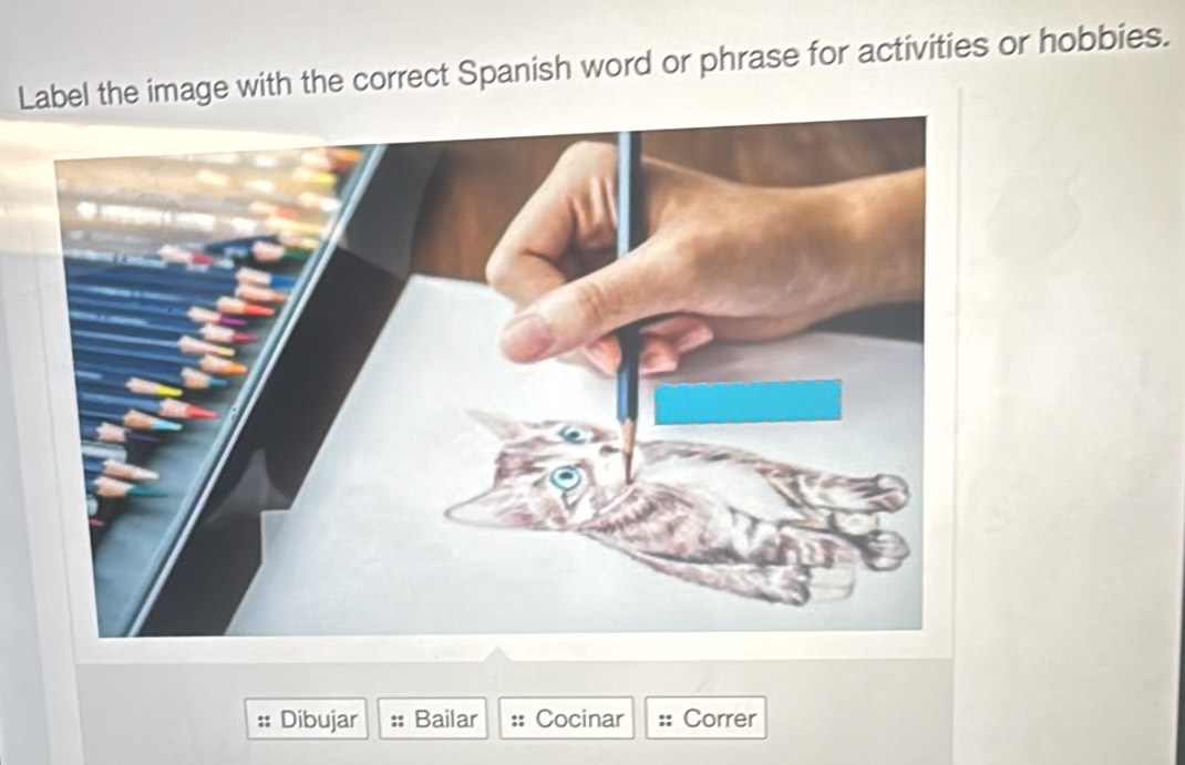 Label the image with the correct Spanish word or phrase for activities or hobbies. 
Dibujar Bailar Cocinar Correr