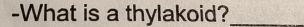 What is a thylakoid?_