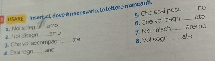 Che essi pesc ino 
USARE Inserisci, dove è necessario, le lettere mancanti. 
6. Che voi bagn ate 
1. Noi spieg _amo 
2. Noi disegn amo 
7. Noi misch._ eremo 
3. Che voi accompagn. ate ............ ate 
4. Essi regn_ ano _8. Voi sogn.