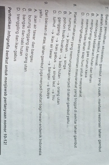 Selain pemulihan ekosistem gambut yang rusak, manfaat restorasi lahan gambut
adalah sebagai berikut, kecuali ...
A mencegah kebakaran hutan dan lahan
B. mengurangi emisi gas rumah kaca
C. memperluas lahan siap huni untuk masyarakat
D. meningkatkan perekonomian masyarakat yang tinggal di sekitar lahan gambut
8. Rantai makanan yang memungkinkan terjadi di lahan gambut yaitu ...
A. rumput→ jerapah→ singa
B. pohon buah-buahan babi hutan → orang utan
C. ganggang → ikan gabus → singa laut hiu
D. lumut → ikan air tawar → bangau → buaya
9, Dari bacaan di atas, Iahan gambut juga menjadi habitat bagi hewan endemik Indonesia
yaitu ...
A ikan air tawar dan bangau
B. burung enggang dan orang utan
C. bangau dan babi hutan
D. trenggiling dan ikan gabus
Perhatikan infografis berikut untuk menjawab pertanyaan nomor 10-12!