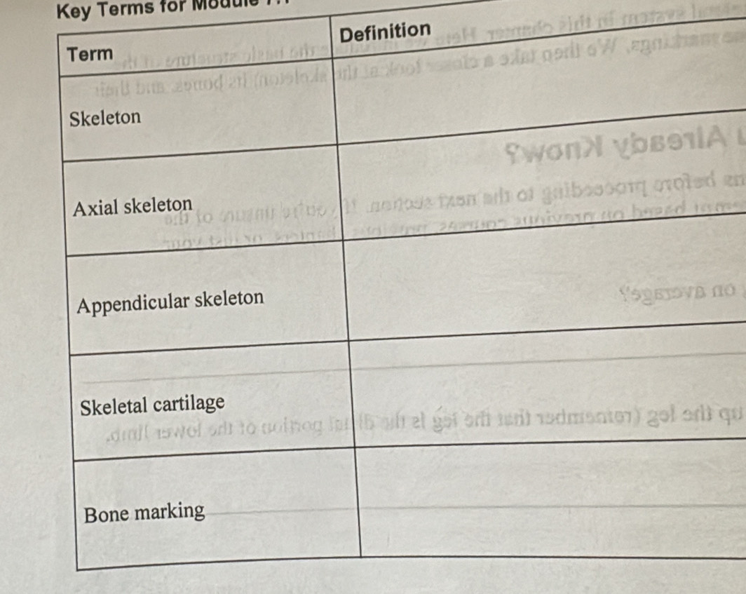 Key Terms for Mouul 
tion