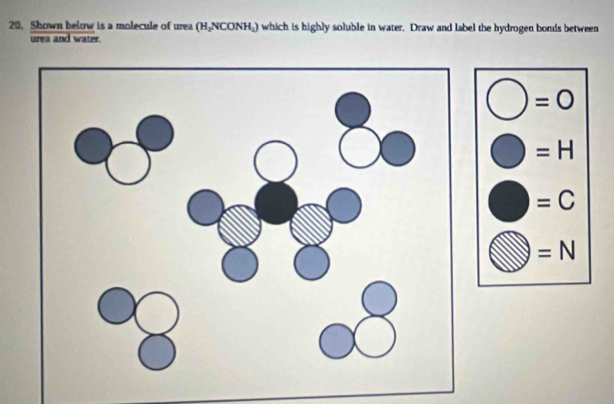 Shown below is a molecule of urea (H₂NCONH₂) which is highly soluble in water. Draw and label the hydrogen bonds between 
urea and water.
=0
=H
=C
=N