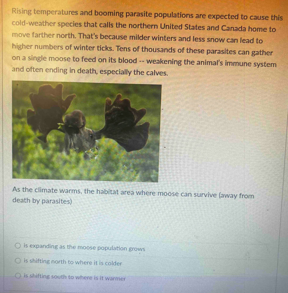 Rising temperatures and booming parasite populations are expected to cause this
cold-weather species that calls the northern United States and Canada home to
move farther north. That's because milder winters and less snow can lead to
higher numbers of winter ticks. Tens of thousands of these parasites can gather
on a single moose to feed on its blood -- weakening the animal's immune system
and often ending in death, especially the calves.
As the climate warms, the habitat area where moose can survive (away from
death by parasites)
is expanding as the moose population grows
is shifting north to where it is colder
is shifting south to where is it warmer