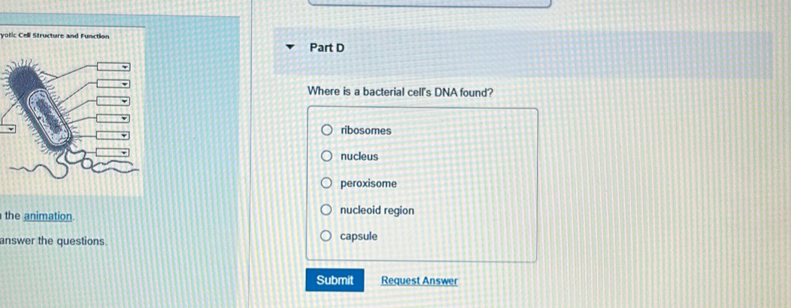 yotic Cell Structure and Function
Part D
Where is a bacterial cell's DNA found?
ribosomes
nucleus
peroxisome
the animation. nucleoid region
answer the questions. capsule
Submit Request Answer