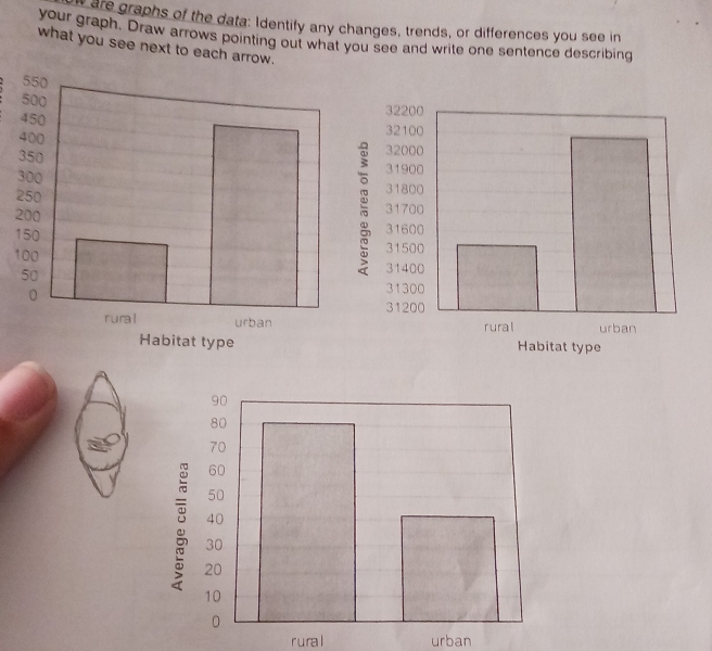 are graphs of the data: Identify any changes, trends, or differences you see in 
your graph. Draw arrows pointing out what you see and write one sentence describing 
what you see next to each arrow. 
2 
1 
rural urban