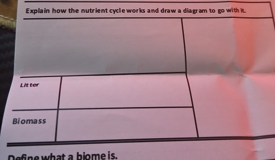 Define what a biome is.