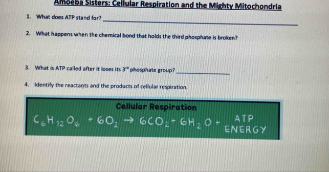 Amoeba Sisters: Cellular Respiration and the Mighty Mitochondria 
_ 
1. What does ATP stand for? 
2. What happens when the chemical bond that holds the third phosphate is broken? 
3. What is ATP called after it loses its 3^(rd) phosphate group?_ 
4. Identify the reactants and the products of cellular respiration. 
Cellular Respiration
C6H12O6 +6O2 → 6CO2+ 6H2 O + ENERGY