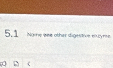 5.1 Name one other digestive enzyme