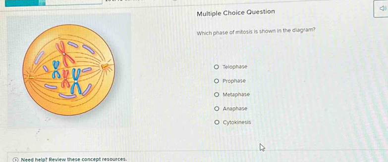 Solved: Question Which phase of mitosis is shown in the diagram ...