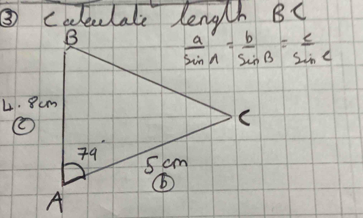 ③ caleetale length BC