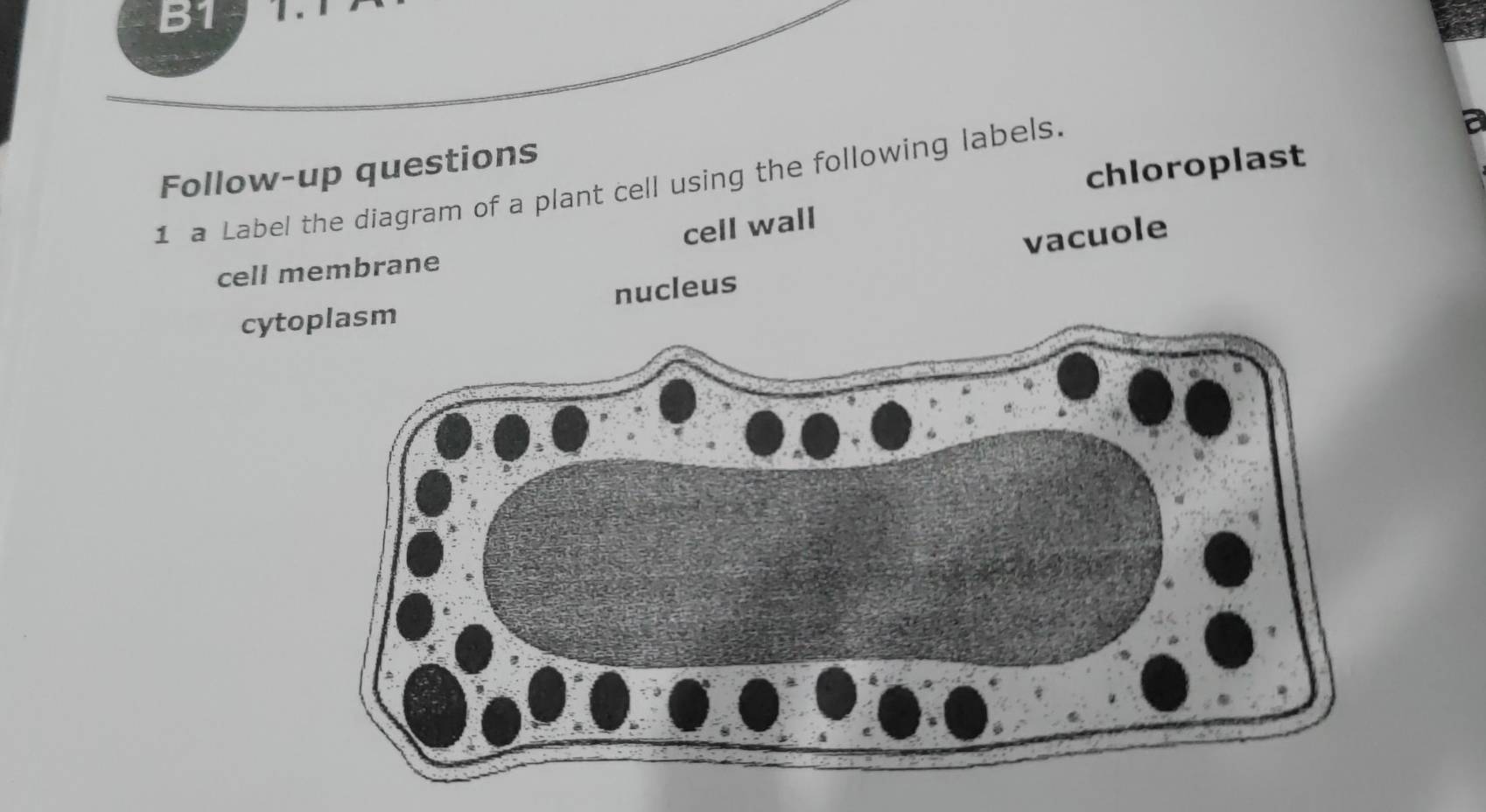 B1 
Follow-up questions 
chloroplast 
1 a Label the diagram of a plant cell using the following labels. 
cell wall 
vacuole 
cell 
cytoplasm