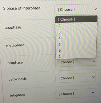 phase of interphase [ Choose ] 
[ Choose ] 
anaphase
2
5
4
metaphase _ 3
6
1
prophase [ Choose ] 
cytokinesis [ Choose ] 
telophase [ Choose ]