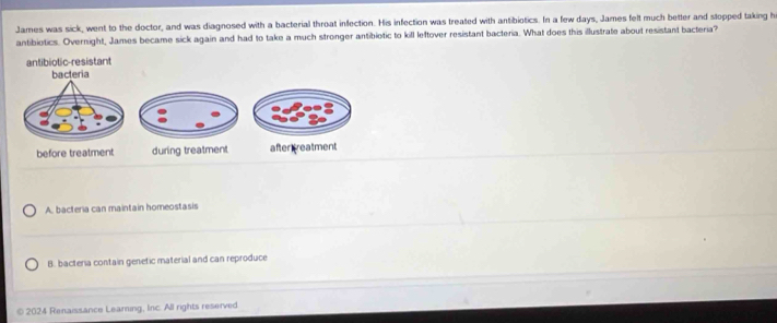 James was sick, went to the doctor, and was diagnosed with a bacterial throat infection. His infection was treated with antibiotics. In a few days, James felt much better and stopped taking h
antibiotics. Overnight, James became sick again and had to take a much stronger antibiotic to kill leftover resistant bacteria. What does this illustrate about resistant bacteria?
antibiotic-resistant
bacteria
before treatment during treatment after reatment
A. bacteria can maintain homeostasis
B. bacteria contain genetic material and can reproduce
2024 Renaissance Learning, Inc. All rights reserved