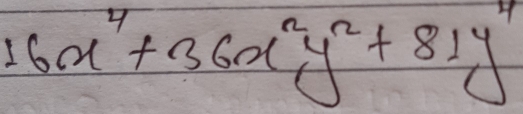16x^4+36x^2y^2+81y^4