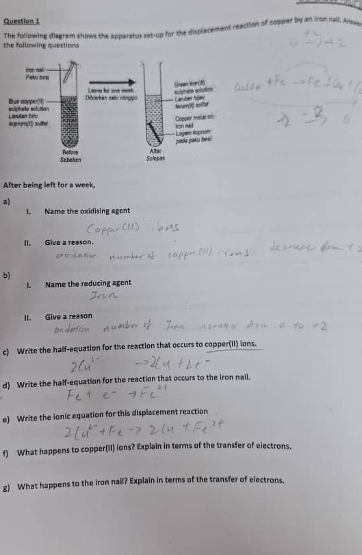 The following diagram shows the apparatus set-up for the displacemens reaction of copper by an iron nail. Answe 
the following questions 
After being left for a week, 
a) 
I. Name the oxidising agent 
II. Give a reason. 
b) 
I. Name the reducing agent 
II. Give a reason 
c) Write the half-equation for the reaction that occurs to copper(II) ions. 
d) Write the half-equation for the reaction that occurs to the iron nail. 
e) Write the ionic equation for this displacement reaction 
f) What happens to copper(II) ions? Explain in terms of the transfer of electrons. 
g) What happens to the iron nail? Explain in terms of the transfer of electrons.