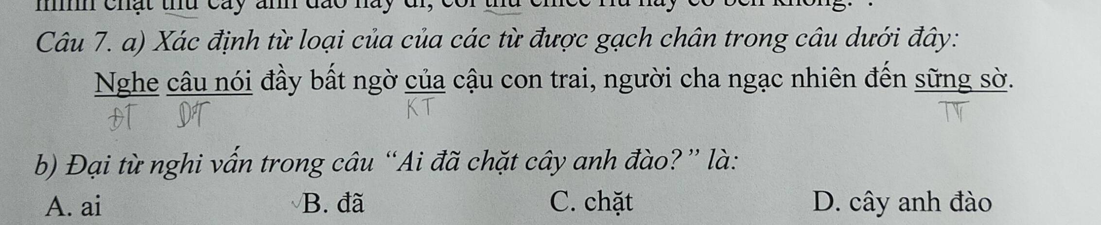 chật thu cây an đão này đi,
Câu 7. a) Xác định từ loại của của các từ được gạch chân trong câu dưới đây:
Nghe câu nói đầy bất ngờ của cậu con trai, người cha ngạc nhiên đến sững sờ.
b) Đại từ nghi vấn trong câu “Ai đã chặt cây anh đào? ” là:
A. ai B. đã C. chặt D. cây anh đào