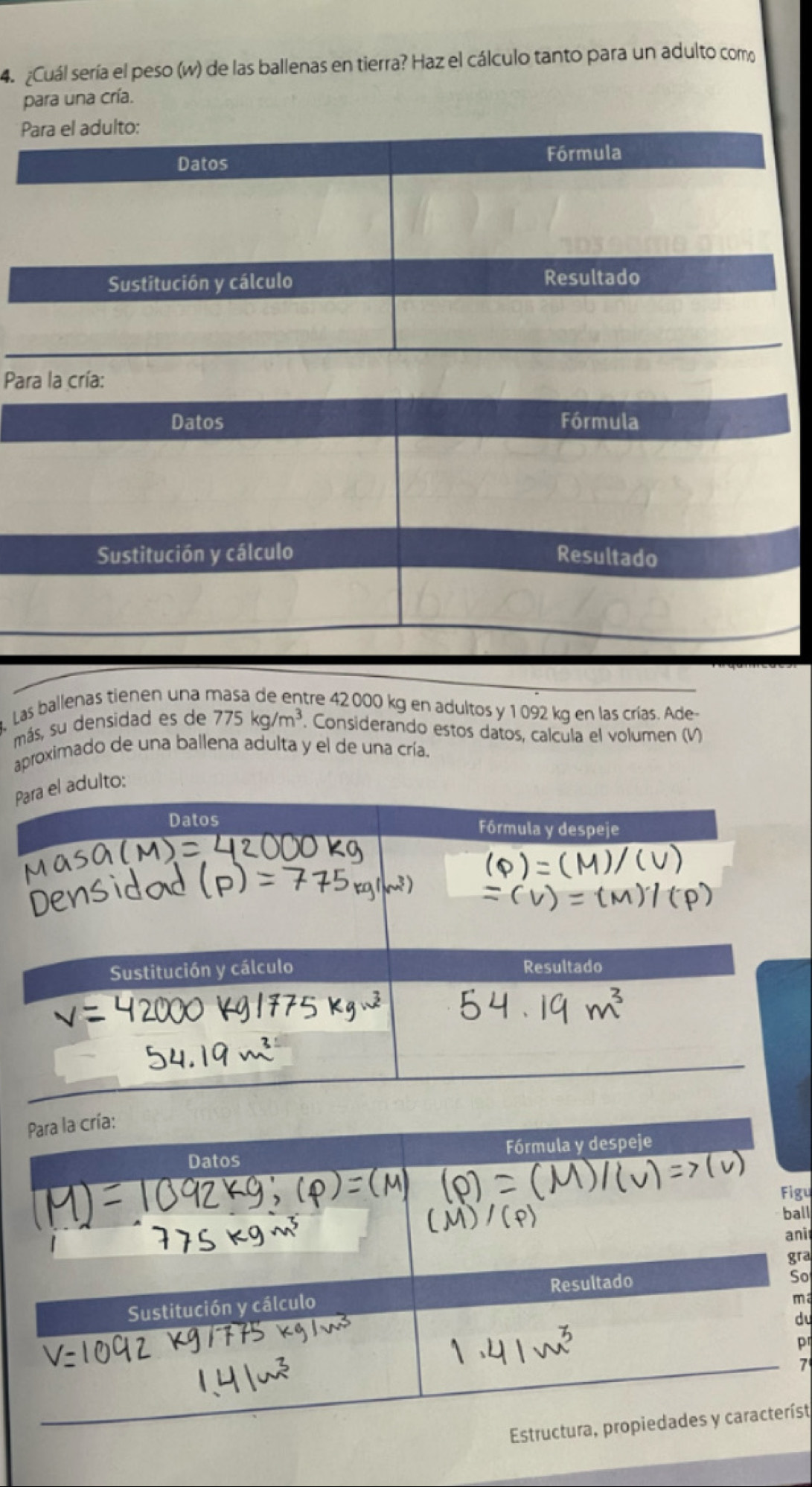 ¿Cuál sería el peso (w) de las ballenas en tierra? Haz el cálculo tanto para un adulto como 
para una cría. 
Para el adulto: 
Datos Fórmula 
Sustitución y cálculo Resultado 
Para la cría: 
Datos Fórmula 
Sustitución y cálculo Resultado 
Las ballenas tienen una masa de entre 42 000 kg en adultos y 1092 kg en las crías. Ade- 
más, su densidad es de 775kg/m^3. . Considerando estos datos, calcula el volumen (V) 
aproximado de una ballena adulta y el de una cría. 
Pel adulto: 
Para la cría: 
Datos Fórmula y despeje 
Figu 
ball 
ani 
gra 
Sustitución y cálculo Resultado 
So
m
d 
7 
Estructura, propiedades y característ