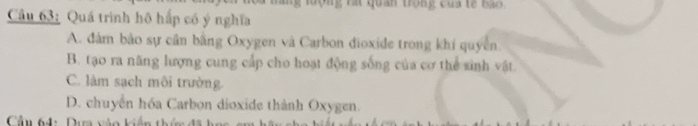 ợng rất quan trong của tế ba 
Cầu 63: Quá trình hộ hấp có ý nghĩa
A. đám bảo sự cần bằng Oxygen và Carbon đioxide trong khi quyền
B. tạo ra năng lượng cung cấp cho hoạt động sống của cơ thể sinh vật
C. làm sạch môi trường.
D. chuyền hóa Carbon dioxide thành Oxygen.
Cầu th: Dựa vào kiến th