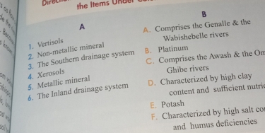 Direch

B
A A. Comprises the Genalle & the

Wabishebelle rivers
1. Vertisols
B. Platinum
2. Non-metallic mineral
C. Comprises the Awash & the On
3. The Southern drainage system
5. Metallic mineral 4. Xerosols Ghibe rivers
n o D. Characterized by high clay
content and sufficient nutric
6. The Inland drainage system
E. Potash
S
F. Characterized by high salt co
and humus deficiencies