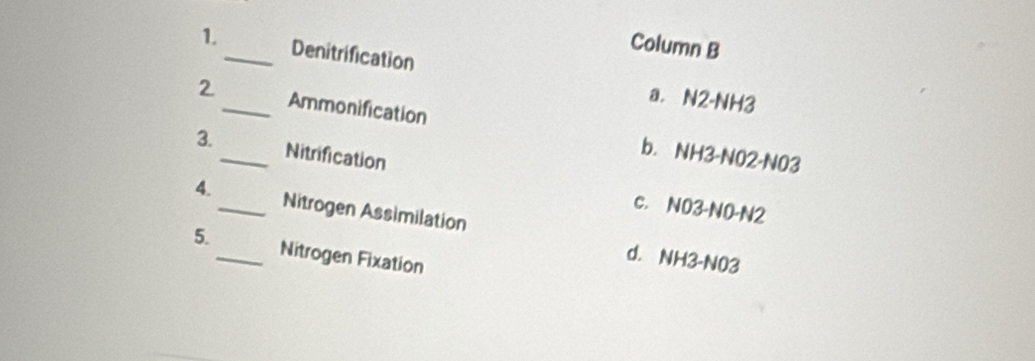 Column B
1._ Denitrification
a. N2 - NH3
2_ Ammonification b. NH3-NO2-NO3
3._ Nitrification
4._ Nitrogen Assimilation
c. NO3-NO-N2
5._ Nitrogen Fixation
d. NH3-N03