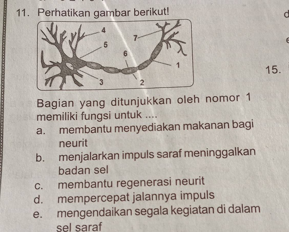 Perhatikan gambar berikut! d
15.
Bagian yang ditunjukkan oleh nomor 1
memiliki fungsi untuk ....
a. membantu menyediakan makanan bagi
neurit
b. menjalarkan impuls saraf meninggalkan
badan sel
c. membantu regenerasi neurit
d. mempercepat jalannya impuls
e. mengendaikan segala kegiatan di dalam
sel saraf