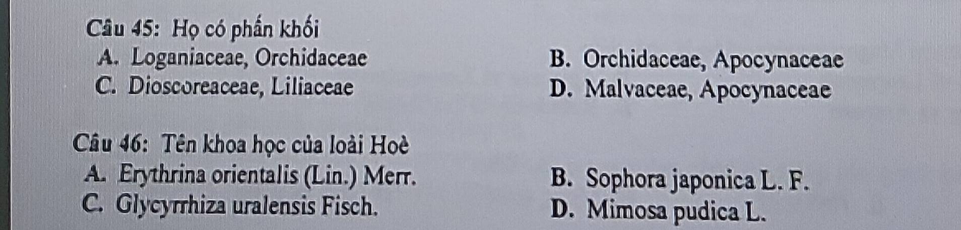 Họ có phần khối
A. Loganiaceae, Orchidaceae B. Orchidaceae, Apocynaceae
C. Dioscoreaceae, Liliaceae D. Malvaceae, Apocynaceae
Câu 46: Tên khoa học của loài Hoè
A. Erythrina orientalis (Lin.) Merr. B. Sophora japonica L. F.
C. Glycyrrhiza uralensis Fisch. D. Mimosa pudica L.