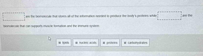 square are the biomolecule that stores all of the information needed to produce the body's proteins while □ are the 
biomolecule that can supports muscle formation and the immune systern. 
: lipids # nucleic acids = proteins : carbohydrates