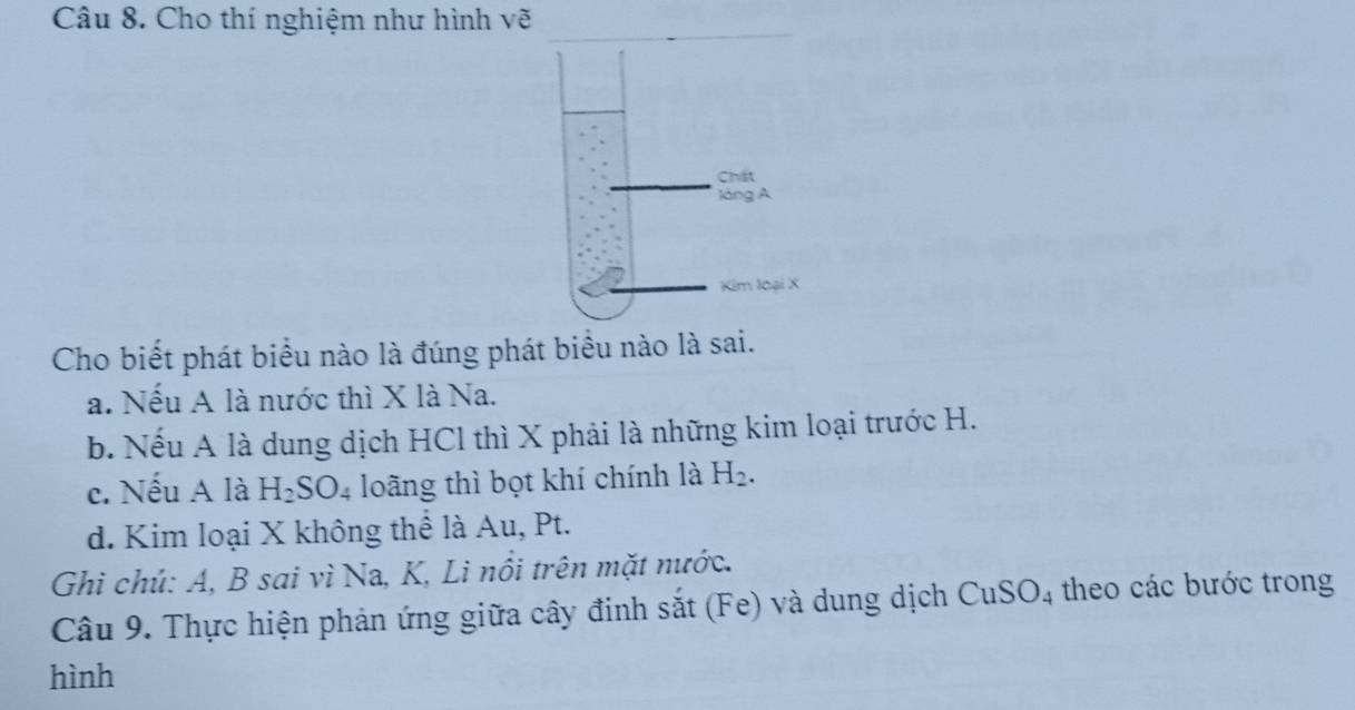 Cho thí nghiệm như hình vẽ 
Cho biết phát biểu nào là đúng phát biểu nào là sai. 
a. Nếu A là nước thì X là Na. 
b. Nếu A là dung dịch HCl thì X phải là những kim loại trước H. 
c. Nếu A là H_2SO_4 loãng thì bọt khí chính là H_2. 
d. Kim loại X không thể là Au, Pt. 
Ghi chú: A, B sai vì Na, K, Li nồi trên mặt nước. 
Câu 9. Thực hiện phản ứng giữa cây đinh sắt (Fe) và dung dịch CuSO4 theo các bước trong 
hình