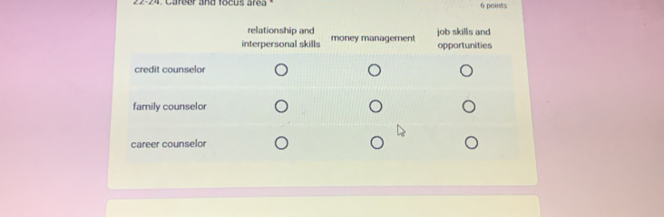 22-24. Career and focus area 6 points