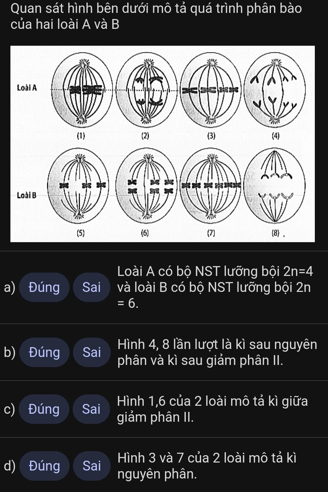 Quan sát hình bên dưới mô tả quá trình phân bào
của hai loài A và B
Loài A
(1) (2) (3) (4)
Loài B
(5) (6) (7) (8 .
Loài A có bộ NST lưỡng bội 2n=4
a) Đúng Sai và loài B có bộ NST lưỡng bội 2n
=6. 
Hình 4, 8 lần lượt là kì sau nguyên
b) Đúng Sai phân và kì sau giảm phân II.
Hình 1, 6 của 2 loài mô tả kì giữa
c) Đúng Sai giảm phân II.
Hình 3 và 7 của 2 loài mô tả kì
d) Đúng Sai
nguyên phân.