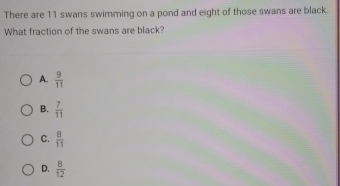 There are 11 swans swimming on a pond and eight of those swans are black
What fraction of the swans are black?
A.  9/11 
B.  7/11 
C.  8/11 
D.  8/12 