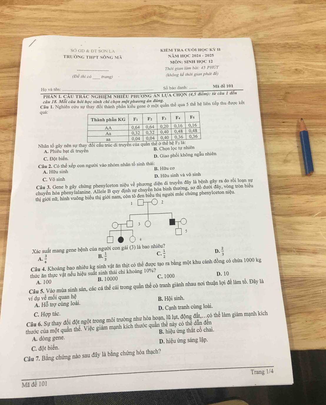 SỞ GD & ĐT SON LA KIÊM TRA CUÔI HọC Kỷ 1I
trường thPt sông mã NĂM HQC 2024 - 2025
MÔN: SINH HQC 12
_
Thời gian làm bài: 45 PHÚT
(Đề thi có _trang)
(không kể thời gian phát đề)
Họ và tên: _Số báo đanh: ...... Mã đề 101
PHẢN I. CÂU TRÁC NGHIỆM NHIÊU PHƯƠNG ÁN LựA CHQN (4,5 điểm): từ câu 1 đến
câu 18. Mỗi câu hồi học sinh chỉ chọn một phương án đúng.
Câu 1. Nghiên cứu sự thay đổi thành phần kiêu gene ở một quần thể qua 5 thế hệ liên tiếp thu được kết
quả:
Nhân tố gây nên sự thay đổi cấu trúc di truyền c
A. Phiêu bạt di truyền B. Chọn lọc tự nhiên
C. Đột biến. D. Giao phối không ngẫu nhiên
Câu 2. Có thể xếp con người vào nhóm nhân tố sinh thái:
A. Hữu sinh B. Hữu cơ
C. Vô sinh D. Hữu sinh và vô sinh
Câu 3. Gene b gây chứng phenylceton niệu về phương diện di truyền đây là bệnh gây ra do rối loạn sự
chuyển hóa phenylalanine. Allele B quy định sự chuyển hóa bình thường, sơ đồ dưới đây, vòng tròn biểu
thị giới nữ, hình vuông biểgiới nam, còn tô đen biểu thị người mắc chứng phenylceton niệu.
Xác suất mang gene bệnh của người con gái (3) là bao nhiêu?
C.  1/2 
D.  2/3 
A.  3/4 
B.  1/3 
Câu 4. Khoảng bao nhiêu kg sinh vật ăn thịt có thể được tạo ra bằng một khu cánh đồng có chứa 1000 kg
thức ăn thực vật nếu hiệu suất sinh thái chỉ khoảng 10%? D. 10
A. 100 B. 10000 C. 1000
Câu 5. Vào mùa sinh sản, các cá thể cái trong quần thể cò tranh giành nhau nơi thuận lợi đề làm tổ. Đây là
ví dụ về mối quan hệ
A. Hỗ trợ cùng loài. B. Hội sinh.
C. Hợp tác. D. Cạnh tranh cùng loài.
Câu 6. Sự thay đổi đột ngột trong môi trường như hỏa hoạn, lũ lụt, động đất,..có thể làm giảm mạnh kích
thước của một quần thể. Việc giảm mạnh kích thước quần thể này có thể dẫn đến
A. dòng gene. B. hiệu ứng thắt cổ chai.
C. đột biến. D. hiệu ứng sáng lập.
Câu 7. Bằng chứng nào sau đây là bằng chứng hóa thạch?
_
Mã đề 101 Trang 1/4
