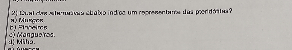 Qual das alternativas abaixo indica um representante das pteridófitas?
a) Musgos.
b) Pinheiros.
c) Mangueiras.
d) Milho.