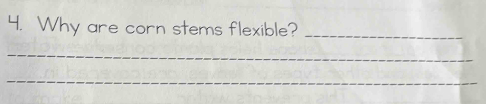 Why are corn stems flexible?_ 
_ 
_