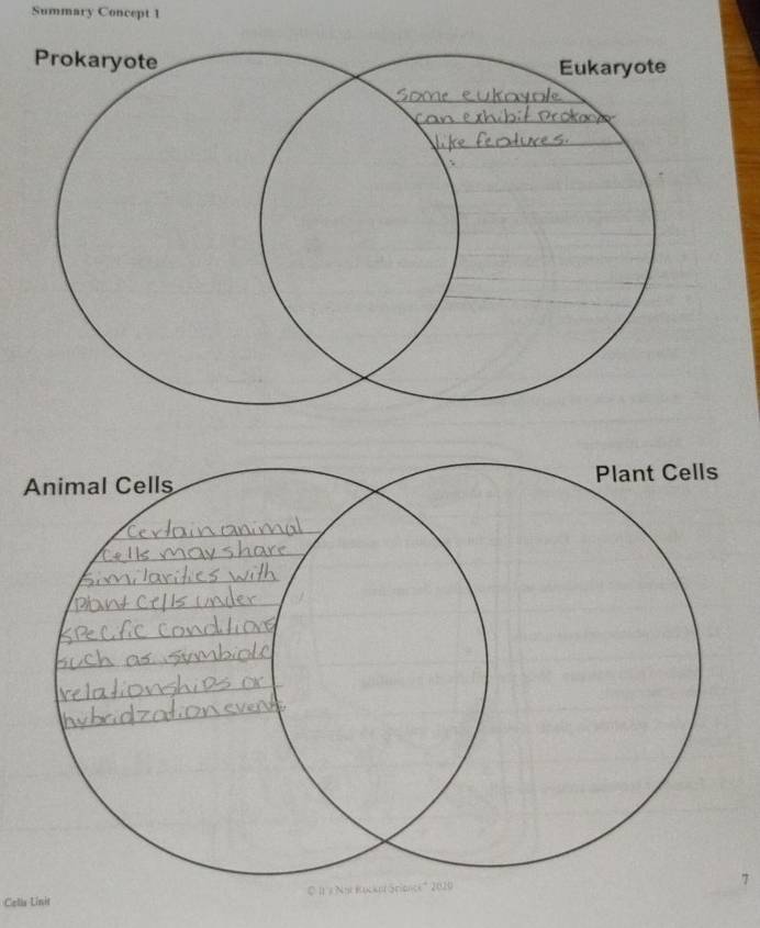 Summary Concept 1 
Cella Linit