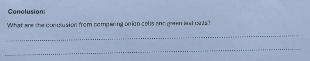 Conclusion: 
What are the conclusion from comparing onion cells and green leaf cells? 
_ 
_