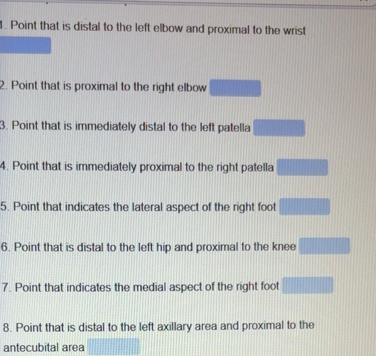 Solved: Point that is distal to the left elbow and proximal to the ...