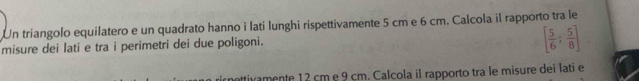 Un triangolo equilatero e un quadrato hanno i lati lunghi rispettivamente 5 cm e 6 cm. Calcola il rapporto tra le 
misure dei lati e tra i perimetri dei due poligoni.
[ 5/6 : 5/8 ]. 
cnottivamente 12 cm e 9 cm. Calcola il rapporto tra le misure deí latí e