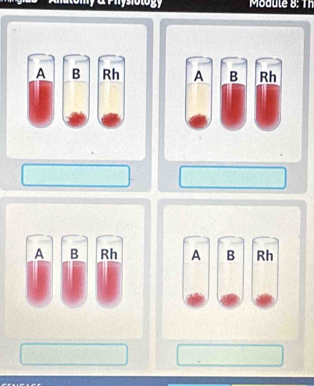 Module 8: Th
A B Rh A B Rh
A B Rh A B Rh