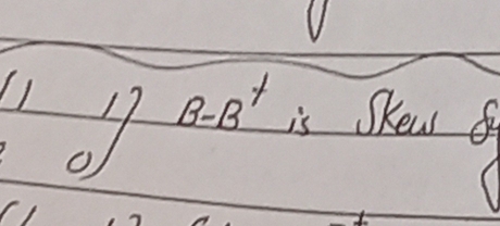 1l]B-B^+ is Skew f