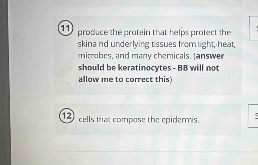 produce the protein that helps protect the 
skina nd underlying tissues from light, heat, 
microbes, and many chemicals. (answer 
should be keratinocytes - BB will not 
allow me to correct this)
12 cells that compose the epidermis.