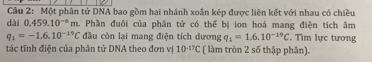 Một phân tử DNA bao gồm hai nhánh xoắn kép được liên kết với nhau có chiều 
dài 0,459.10^(-6)m. Phần đuôi của phân tử có thể bị ion hoá mang điện tích âm
q_1=-1,6.10^(-19)C đầu còn lại mang điện tích dương q_1=1,6.10^(-19)C. Tìm lực tương 
tác tĩnh điện của phân tử DNA theo đơn vị 10^(-17)C ( làm tròn 2 số thập phân).