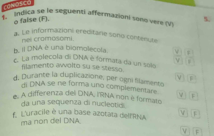 CONOSCO
1. Indica se le seguenti affermazioni sono vere (V)
o false (F). 5.
a. Le informazioni ereditarie sono contenute
nei cromosomi.
b. Il DNA è una biomolecola.
V F
V F
c. La molecola di DNA è formata da un solo
filamento awolto su se stesso.
V F
d. Durante la duplicazione, per ogni filamento
di DNA se ne forma uno complementare. V F
e. A differenza del DNA, l'RNA non è formato
da una sequenza di nucleotidi.
V F
f. L'uracile è una base azotata dell'RNA
ma non del DNA.
V F