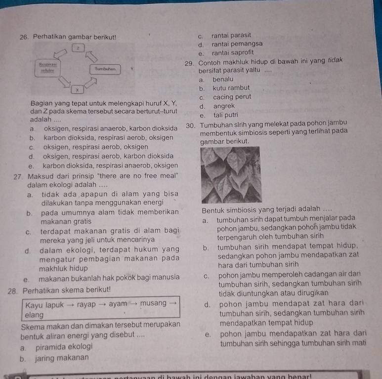 Perhatikan gambar berikut! c rantai parasit
d. rantai pemangsa
e rantai saprofit
29. Contoh makhluk hidup di bawah ini yang tidak
bersifat parasit yaitu ....
a. benalu
b. kutu rambut
Bagian yang tepat untuk melengkapi huruf X, Y, c. cacing perut
dan Z pada skema tersebut secara berturut--turut d. angrek
adalah .... e. tali putri
a oksigen, respirasi anaerob, karbon dioksida 30. Tumbuhan slrih yang melekat pada pohon jambu
b. karbon dioksida, respirasi aerob, oksigen membentuk simbiosis seperti yang terlihat pada
c. oksigen, respirasi aerob, oksigen gambar berikut.
d. oksigen, respirasi aerob, karbon dioksida
e. karbon dioksida, respirasi anaerob, oksigen
27. Maksud dari prinsip "there are no free meal"
dalam ekologi adalah ....
a. tidak ada apapun di alam yang bisa
dilakukan tanpa menggunakan energi
b. pada umumnya alam tidak memberikan Bentuk simbiosis yang terjadi adalah ....
makanan gratis a. tumbuhan sirih dapat tumbuh menjalar pada
c. terdapat makanan gratis di alam bagi pohon jambu, sedangkan pohon jambu tidak
mereka yang jeli untuk mencarinya terpengaruh oleh tumbuhan sirih
d. dalam ekologi, terdapat hukum yang b. tumbuhan sirih mendapat tempat hidup.
mengatur pembagian makanan pada sedangkan pohon jambu mendapatkan zat
makhluk hidup hara dari tumbuhan sirih
e makanan bukanlah hak pokok bagi manusia c. pohon jambu memperoleh cadangan air dan
28. Perhatikan skema berikut! tumbuhan sirih, sedangkan tumbuhan sirih
tidak diuntungkan atau dirugikan
Kayu lapuk → rayap → ayam → musang d. pohon jambu mendapat zat hara dari
elang tumbuhan sirih, sedangkan tumbuhan sirih
Skema makan dan dimakan tersebut merupakan mendapatkan tempat hidup
bentuk aliran energi yang disebut .... e. pohon jambu mendapatkan zat hara dari
a. piramida ekologi tumbuhan sirih sehingga tumbuhan sirih mati
b. jaring makanan
waan di hawaḥ ini dengan jawaḥan vang benarl .