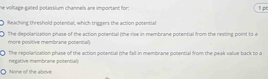 he voltage-gated potassium channels are important for: 1 pt
Reaching threshold potential, which triggers the action potential
The depolarization phase of the action potential (the rise in membrane potential from the resting point to a
more positive membrane potential)
The repolarization phase of the action potential (the fall in membrane potential from the peak value back to a
negative membrane potential)
None of the above