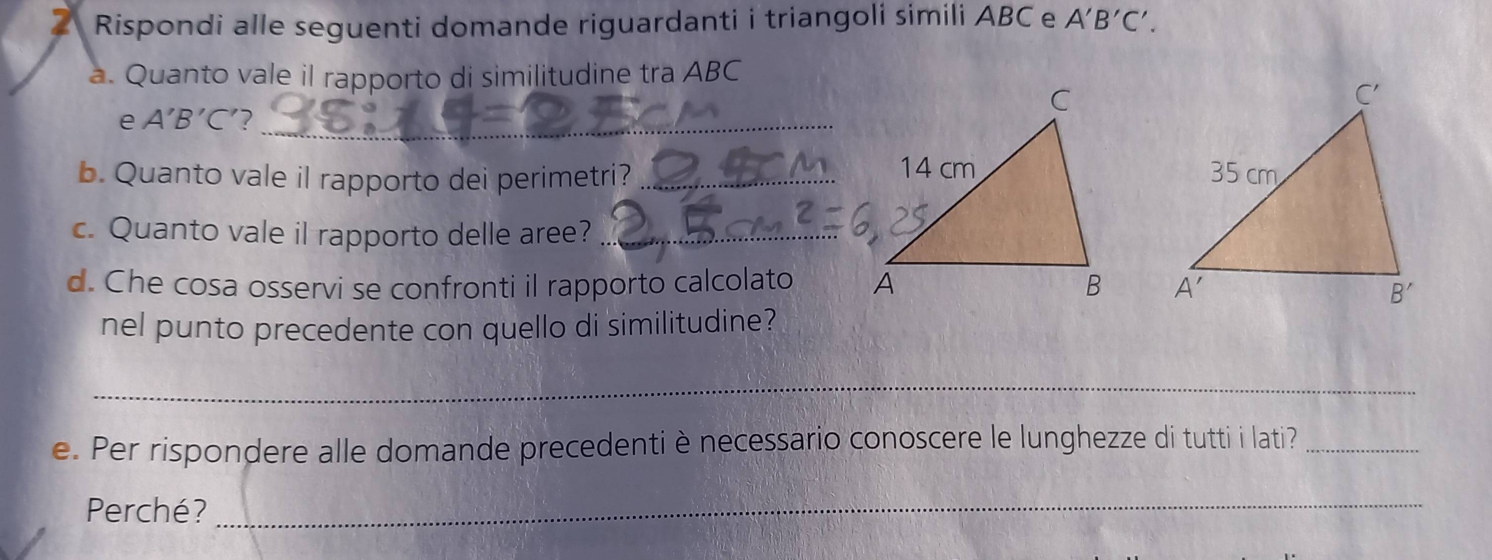 Rispondi alle seguenti domande riguardanti i triangoli simili ABC e A'B'C'.
a. Quanto vale il rapporto di similitudine tra ABC
e A'B'C '?_
b. Quanto vale il rapporto dei perimetri? _
c. Quanto vale il rapporto delle aree?_
d. Che cosa osservi se confronti il rapporto calcolato  
nel punto precedente con quello di similitudine?
_
e. Per rispondere alle domande precedenti è necessario conoscere le lunghezze di tutti i lati?_
Perché?_