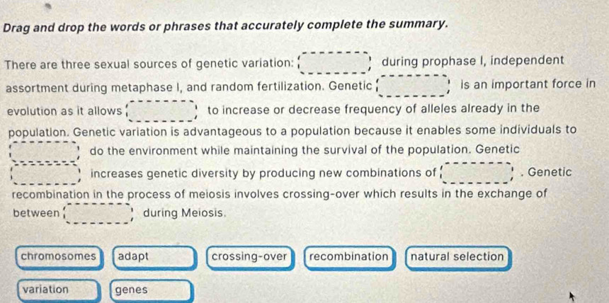 Drag and drop the words or phrases that accurately complete the summary.
There are three sexual sources of genetic variation: (_ ,_ ) during prophase I, independent
assortment during metaphase I, and random fertilization. Genetic ......... 、 is an important force in
evolution as it allows _ ^circ  to increase or decrease frequency of alleles already in the
population. Genetic variation is advantageous to a population because it enables some individuals to
do the environment while maintaining the survival of the population. Genetic
increases genetic diversity by producing new combinations of □. Genetic
recombination in the process of meiosis involves crossing-over which results in the exchange of
between ... during Meiosis
chromosomes adapt crossing-over recombination natural selection
variation genes